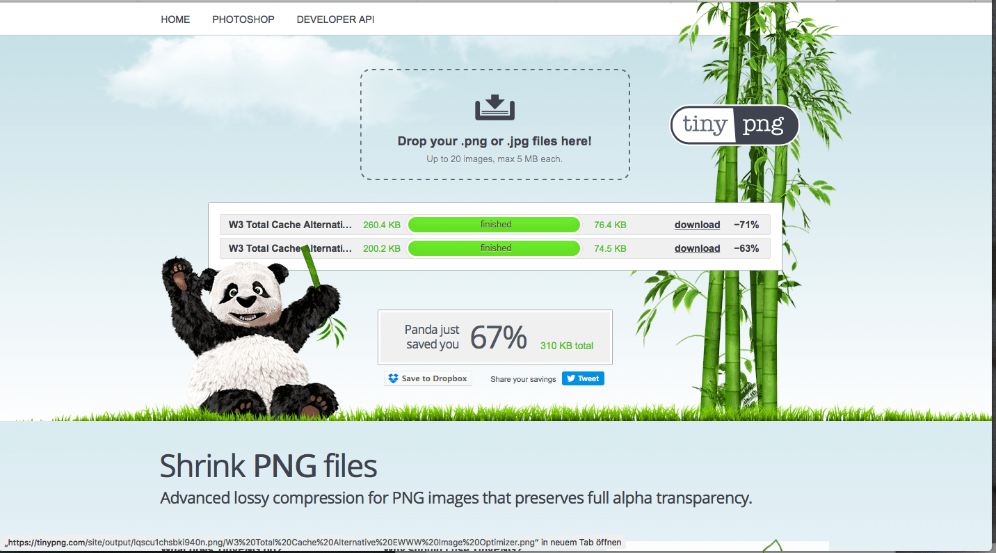 W3 Total Cache Alternative tinypng.org