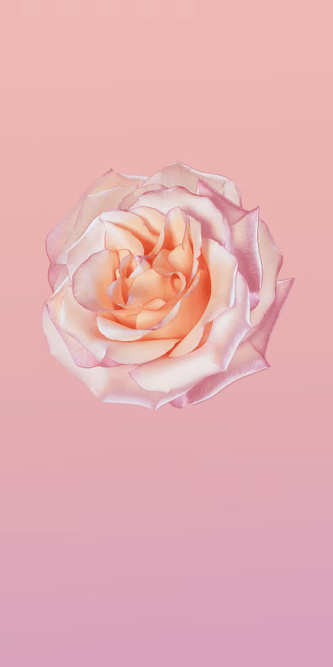 Huawei P20 Wallpapers 10 • techboys.de ▶ Smart Home. PC-Hardware. Streaming. Ohne Blabla.