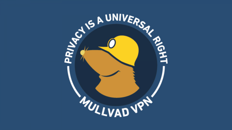 Mullvad VPN Test – ein sonderbar sympathischer Sonderling!