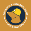 Mullvad VPN Test 2023 3 • 🚀 techboys.de : 💡Smarte Technik & Hardware für den Alltag