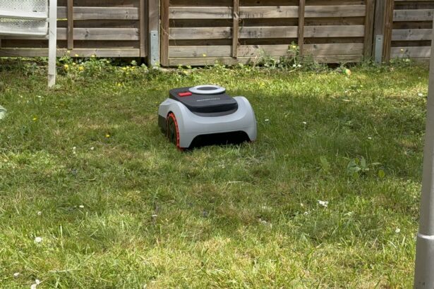 Navimow i208 im Reihenhausgarten, am Zaun bleibt ein Grasstreifen stehen. Genau das soll ein Mähroboter mit Arm lösen