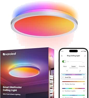 Nanoleaf Smart Hue Deckenlampe