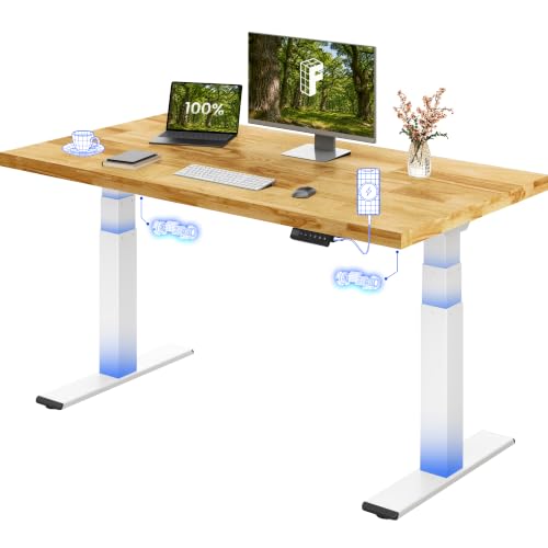 FlexiSpot E200 Höhenverstellbarer Schreibtisch