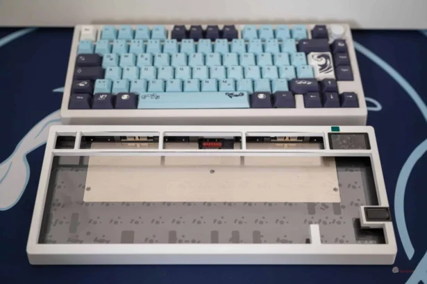 Keyboard mit blauen tastenkappen, mechanisches tasten-setup, individuell gestaltete tastatur, bunte keycaps, gaming keyboard de_DE.