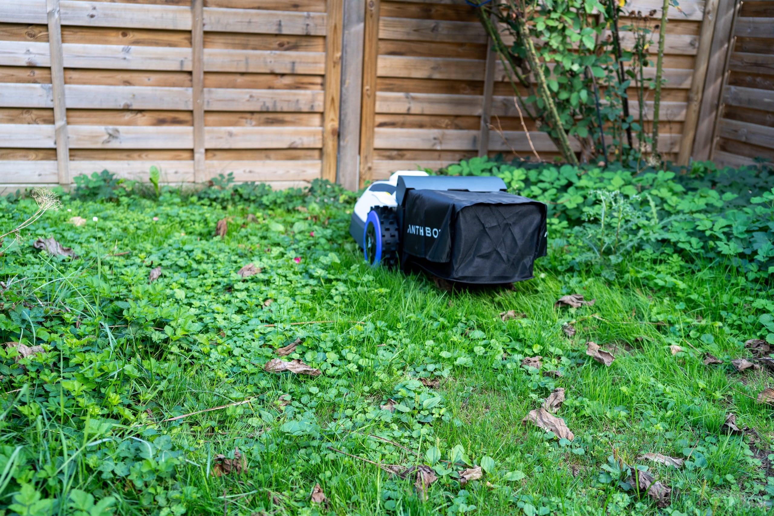 ANTHBOT N8 mit Fangkorb vor Zaun im hohen Gras
