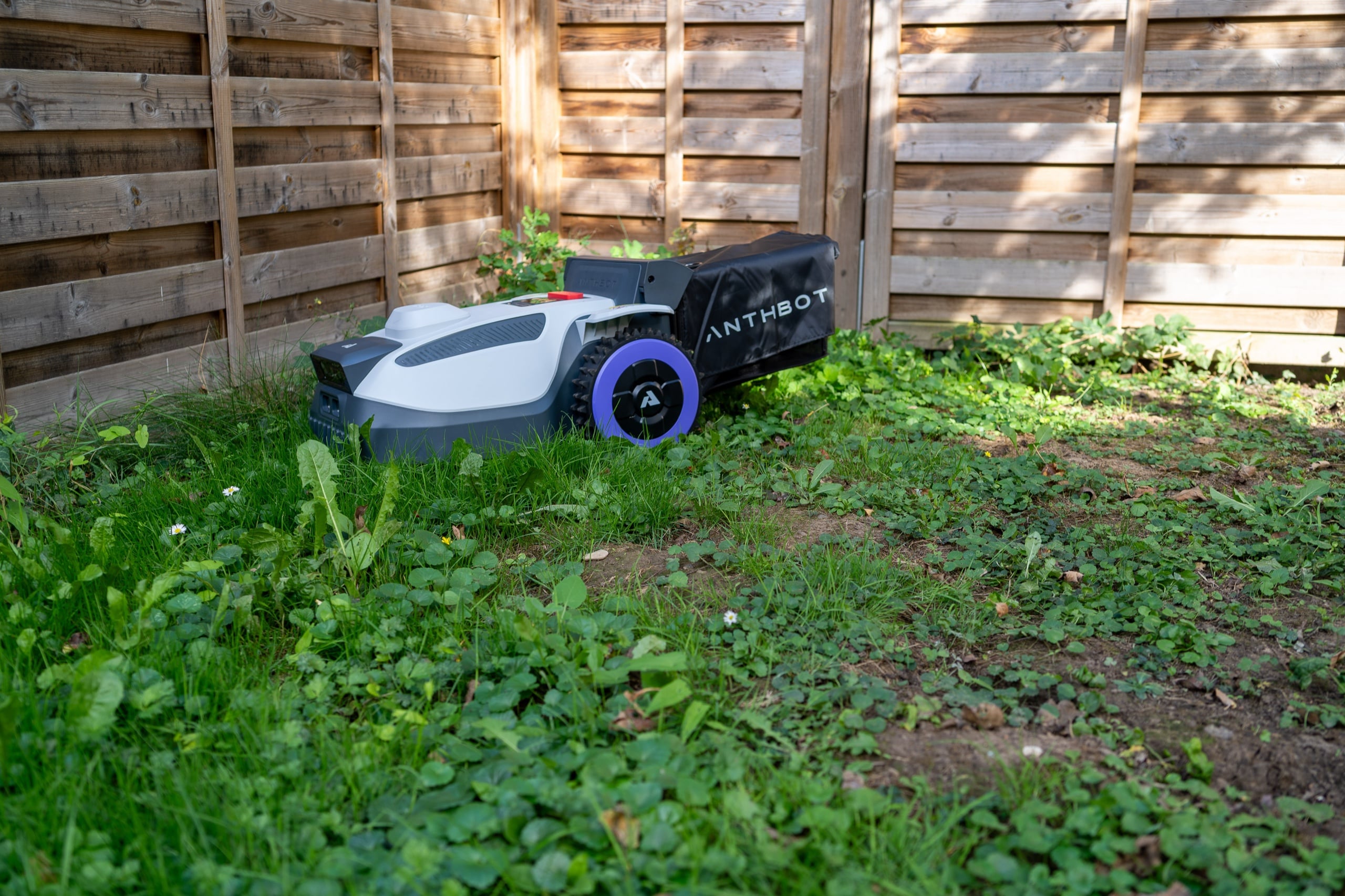 ANTHBOT N8 einrichten: Mähroboter mit Stoff-Fangkorb im ungemähten Garten