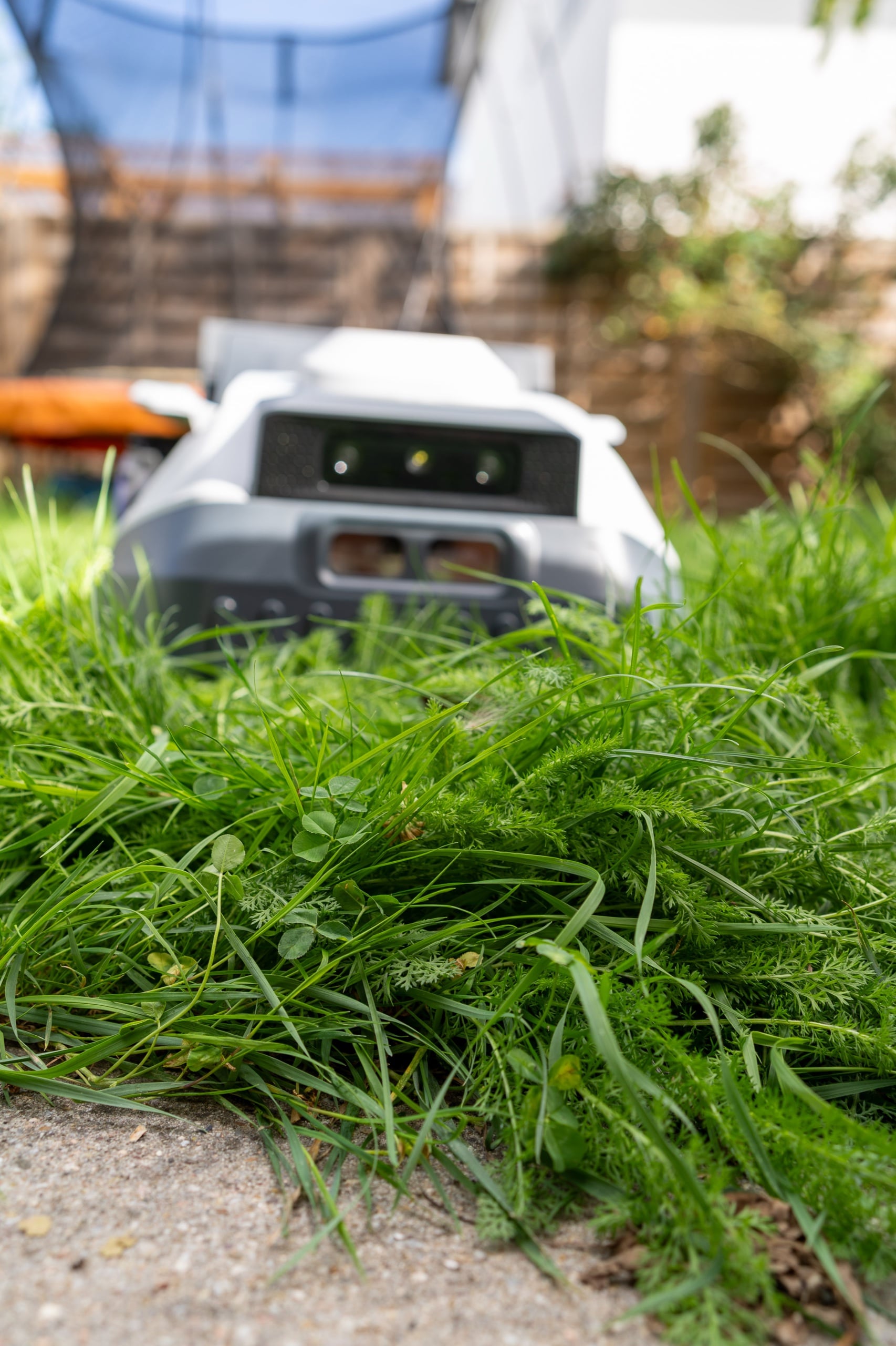 ANTHBOT N8 Test: Der Korb sammelt alles, nur leise geht anders ANTHBOT N8 an der Rasenkante, am Rand bleibt ein Streifen Gras stehen